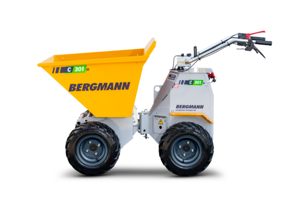 Bergmann C301 M