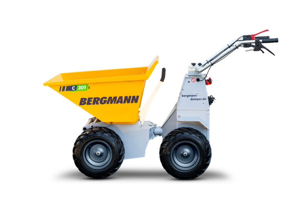 Bergmann C301 S