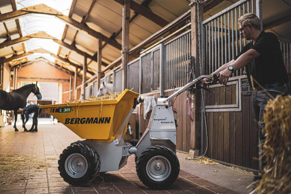 Bergmann C301 S – Bild 6