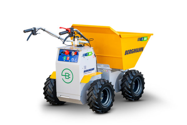 Bergmann C301 M – Bild 2