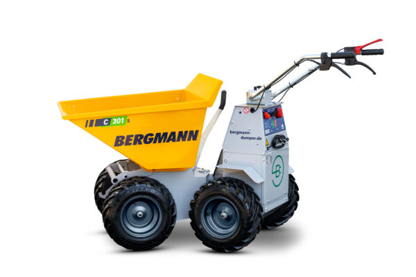 Bergmann C301 S – Bild 2