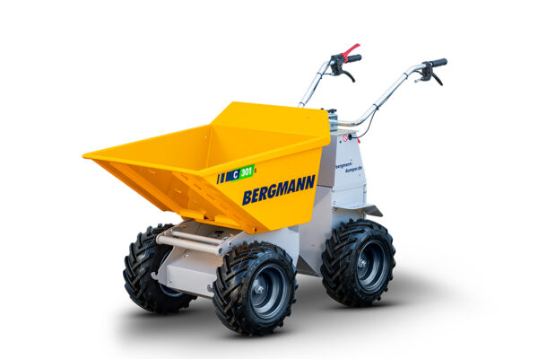 Bergmann C301 S – Bild 3