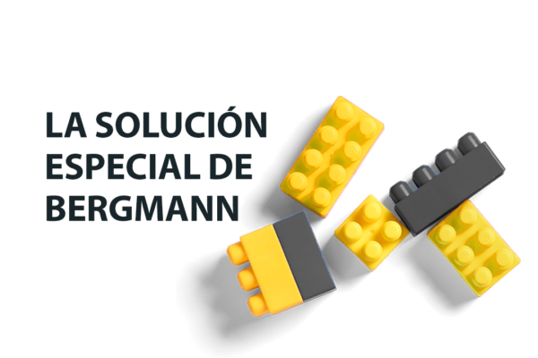 Bergmann Sonderloesungen ESP 1