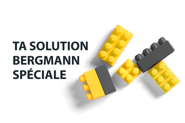 Bergmann Sonderloesungen FR 1